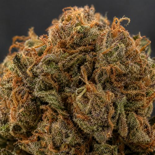 Cogollo de AK-74 - Trikoma Seeds