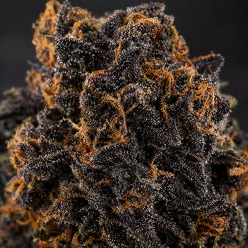 Black Domina Fast cogollo resinoso macro
