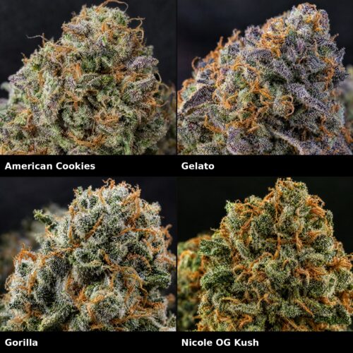 Super Mix USA Strains: American Cookies, Gelato, Gorilla, Nicole OG Kush