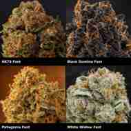Super Mix Fast