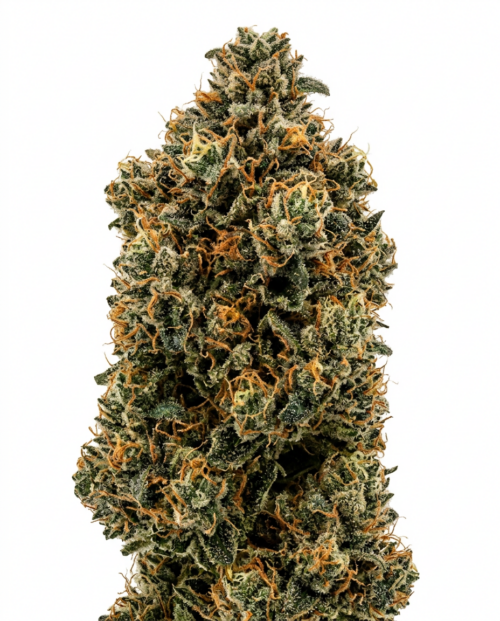 OG Confidential Auto - cogollo macro sobre fondo blanco